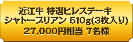 近江牛 特選ヒレステーキ シャトーブリアン 510g(3 枚入り)27,000円相当７名様