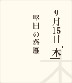 9月9日「木」 / 金平糖