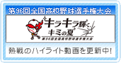 ���Z�싅�I�茠���