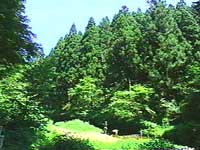 かんさい四季ものがたり