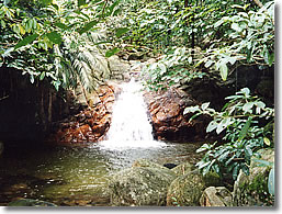荒川の滝