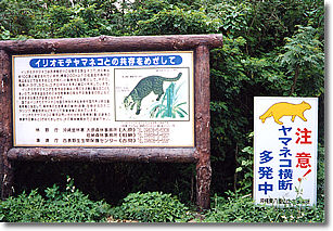 看板2