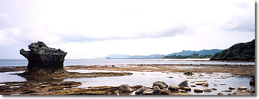 山原3