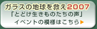 2007年