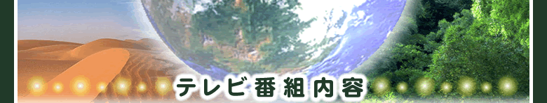 テレビ番組内容