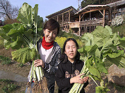 西田ひかる