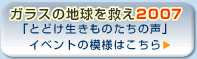 2007年