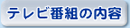 テレビ番組の内容