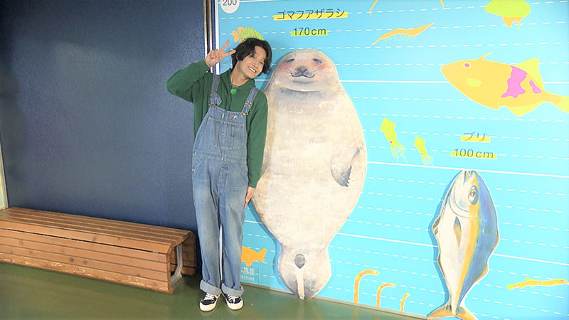 写真