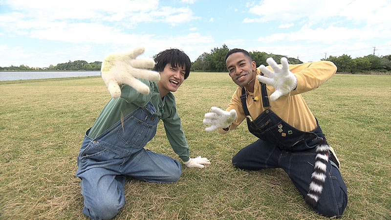 写真