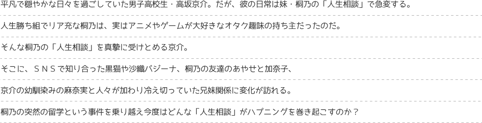 平凡で穏やかな日々を過ごしていた男子高校生・高坂京介。だが、彼の日常は妹・桐乃の「人生相談」で急変する。人生勝ち組でリア充な桐乃は、実はアニメやゲームが大好きなオタク趣味の持ち主だったのだ。そんな桐乃の「人生相談」を真摯に受けとめる京介。そこに、ＳＮＳで知り合った黒猫や沙織バジーナ、桐乃の友達のあやせと加奈子、京介の幼馴染みの麻奈実と人々が加わり冷え切っていた兄妹関係に変化が訪れる。桐乃の突然の留学という事件を乗り越え今度はどんな「人生相談」がハプニングを巻き起こすのか？