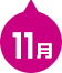 11月