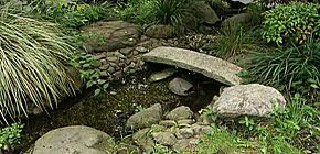 画像： アフターのアフター