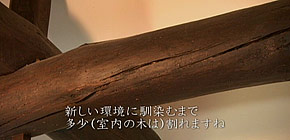 画像： アフターのアフター