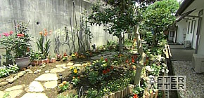 画像： アフターのアフター
