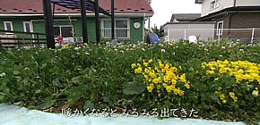 画像： アフターのアフター