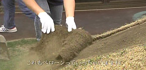画像： アフターのアフター