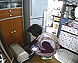 写真：サムネイル