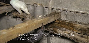 画像：バケツのお風呂に入る家