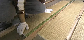 画像：バケツのお風呂に入る家