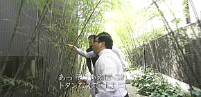 画像：バケツのお風呂に入る家