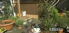 画像：バケツのお風呂に入る家