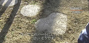 画像：ギックリ腰になる庭