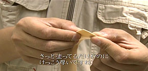 画像：雨漏りする庭