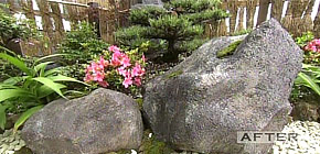 画像：雨漏りする庭