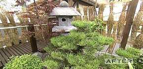 画像：雨漏りする庭