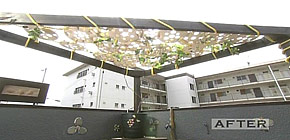 画像：雨漏りする庭