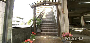 画像：雨漏りする庭