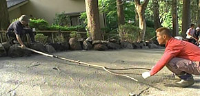 画像：敷地1000坪の庭