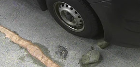 画像：敷地1000坪の庭