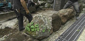 画像：敷地1000坪の庭