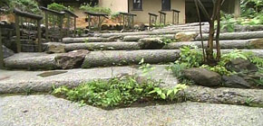 画像：敷地1000坪の庭