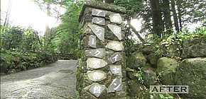 画像：敷地1000坪の庭