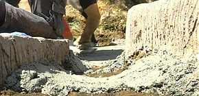 画像：敷地1000坪の庭