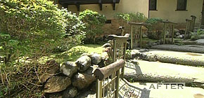 画像：敷地1000坪の庭
