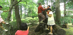 画像：敷地1000坪の庭