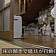 写真：サムネイル