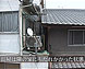 写真：サムネイル