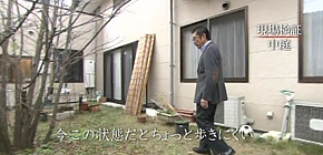 画像：目をそむけてきた庭