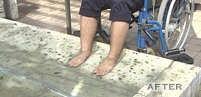 画像：目をそむけてきた庭