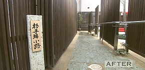 画像：目をそむけてきた庭