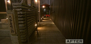 画像：目をそむけてきた庭