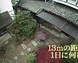 写真：サムネイル