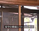 写真：サムネイル