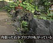 写真：サムネイル