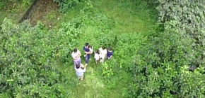 画像：夢が打ち砕かれた庭